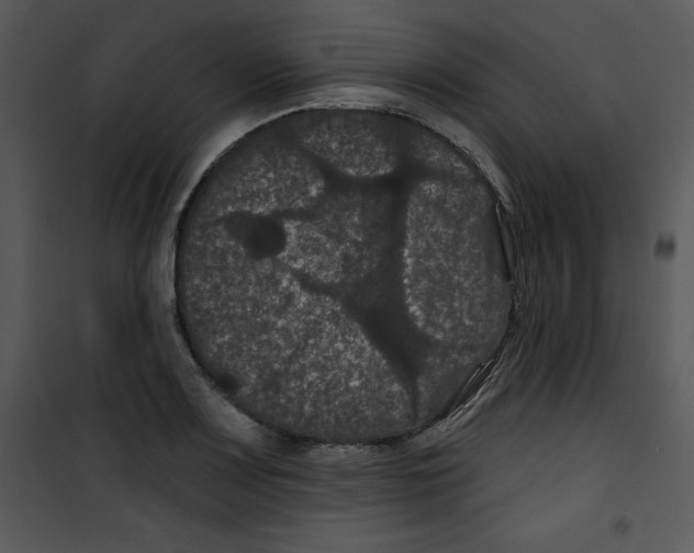 X0000100891083200807220946