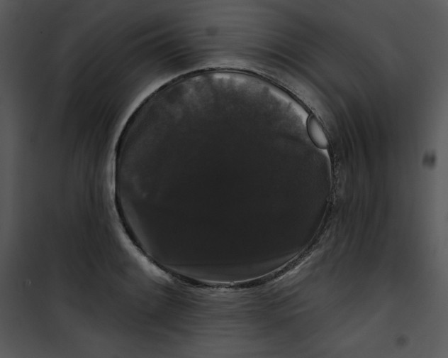 X0000100891084200807220946