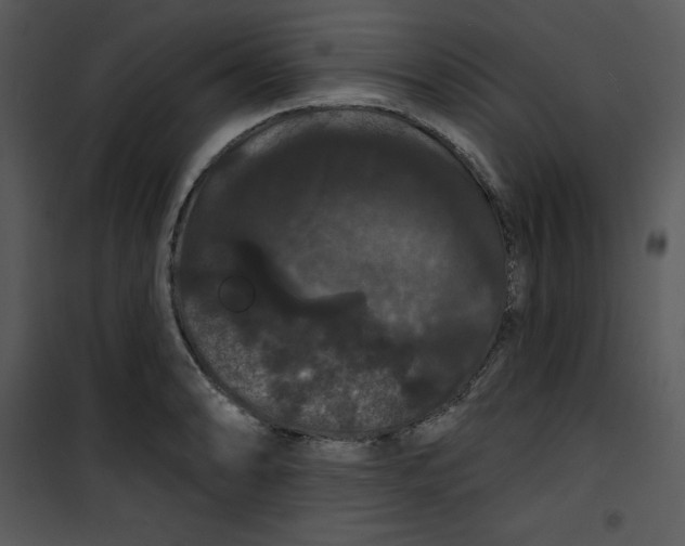 X0000100891086200807220945