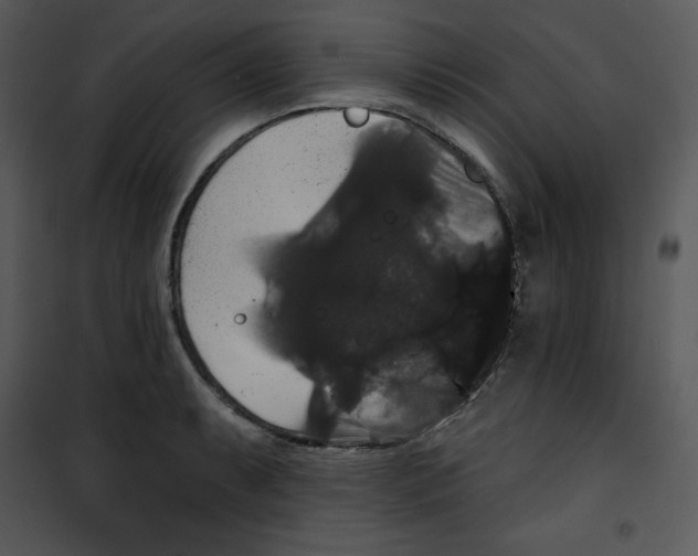 X0000100891087200807220945