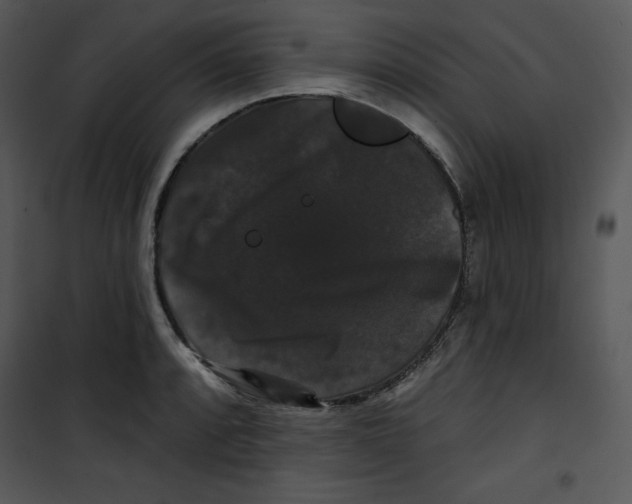 X0000100891088200807220945