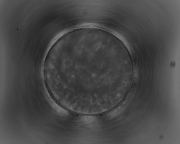 X0000100891090200807220945