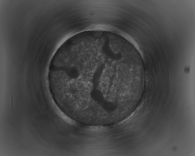 X0000100891091200807220945