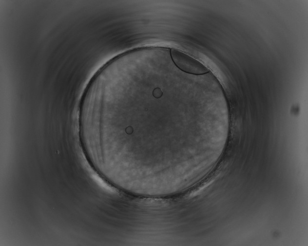 X0000100891092200807220945