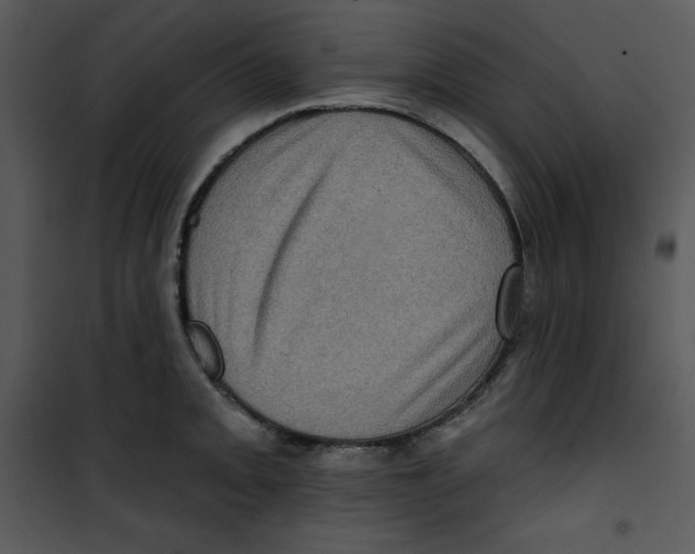 X0000100891093200807220945