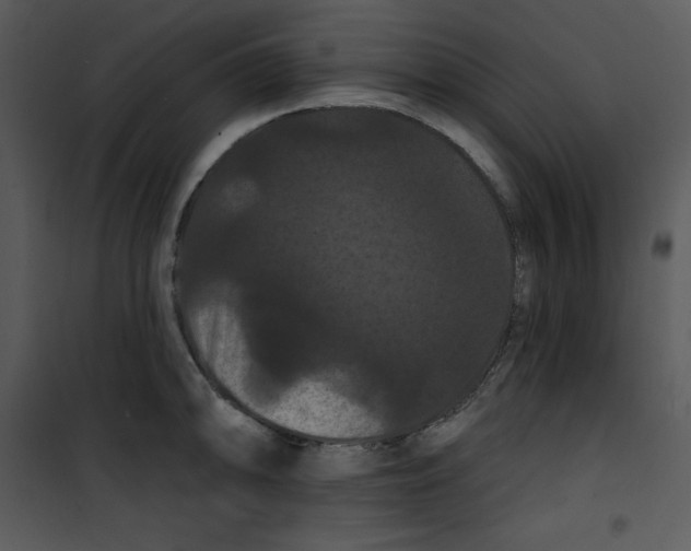 X0000100891094200807220945