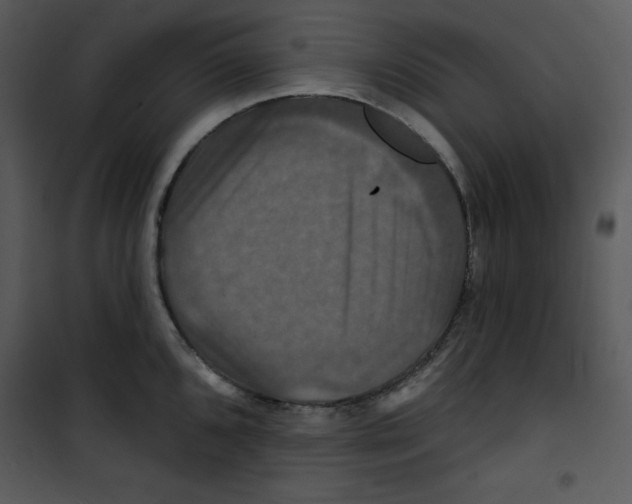 X0000100891096200807220945