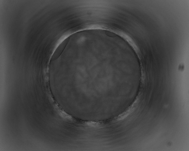 X0000100891097200807220945