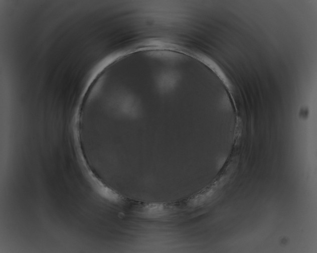 X0000100891098200807220945