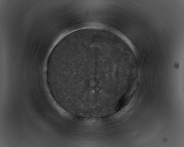 X0000100891099200807220945