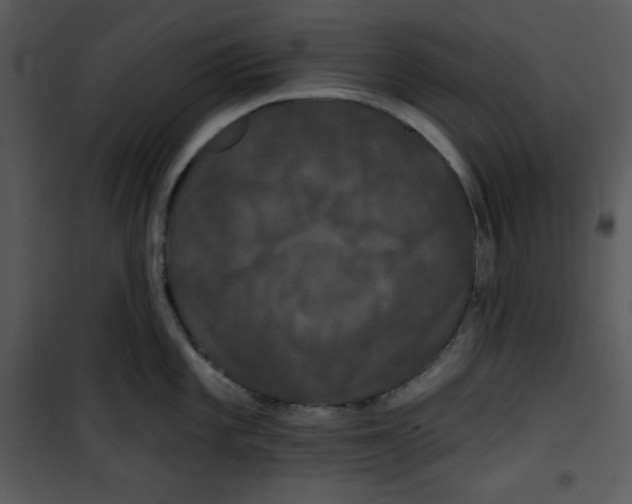 X0000100891101200807220945