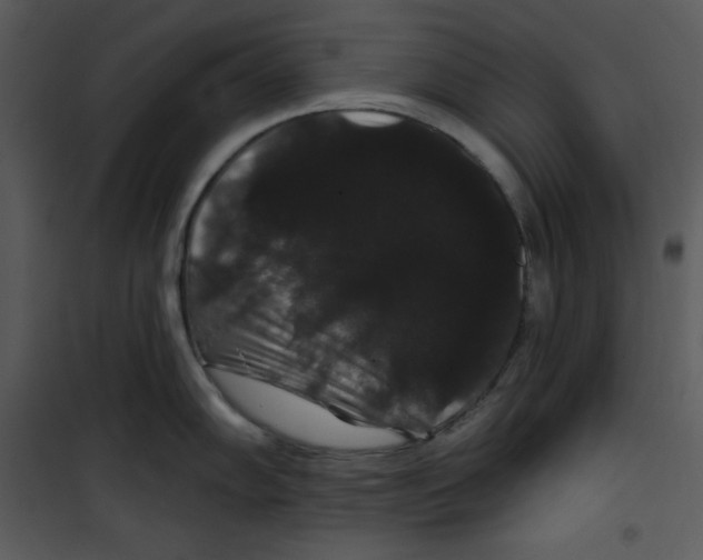 X0000100891102200807220945