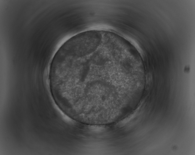 X0000100891103200807220945