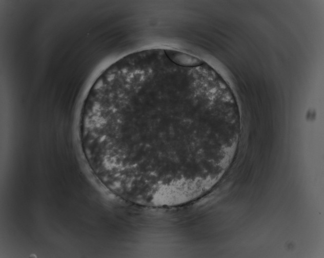 X0000100891104200807220945