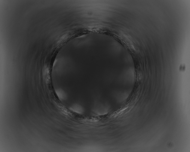 X0000100891106200807220945