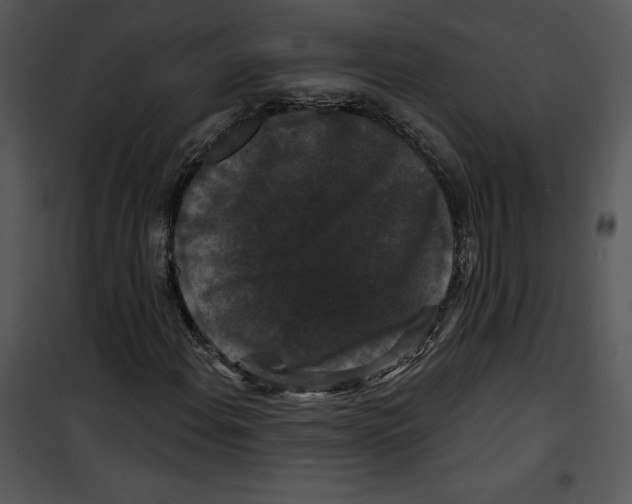 X0000100891108200807220945