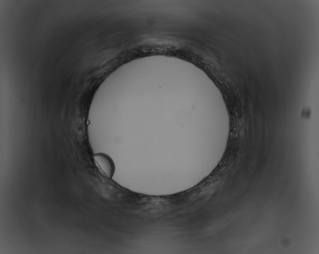 X0000100891109200807220945