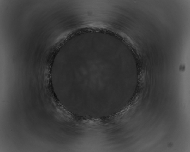 X0000100891110200807220945