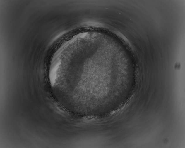 X0000100891112200807220945