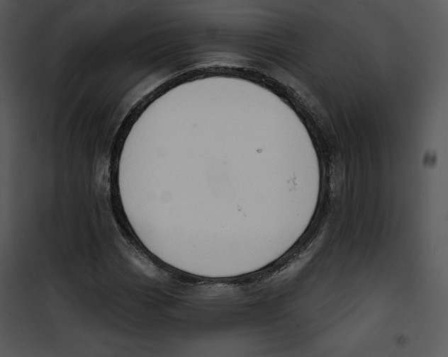 X0000100891113200807220945