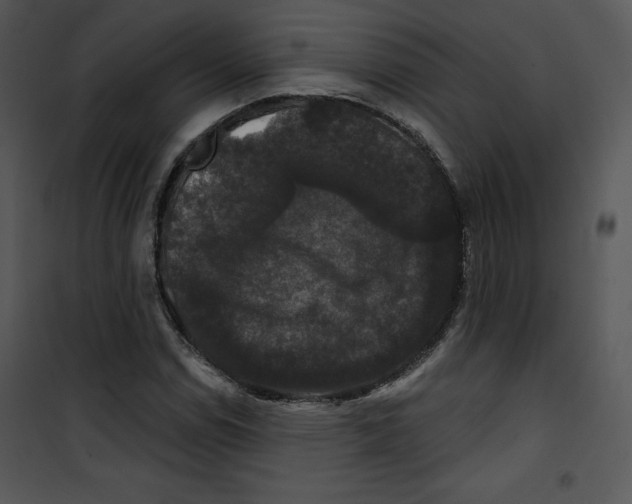 X0000100891114200807220945