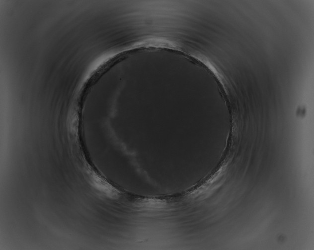 X0000100891115200807220945