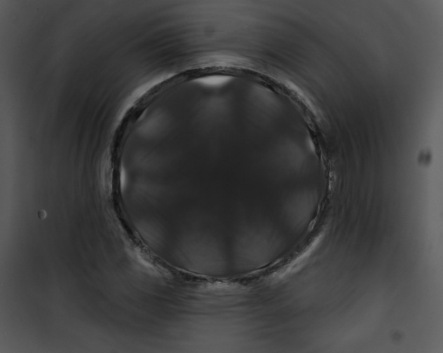 X0000100891117200807220945