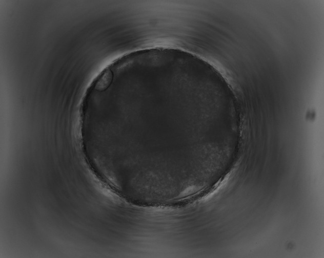 X0000100891118200807220945