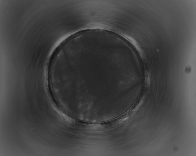 X0000100891120200807220945