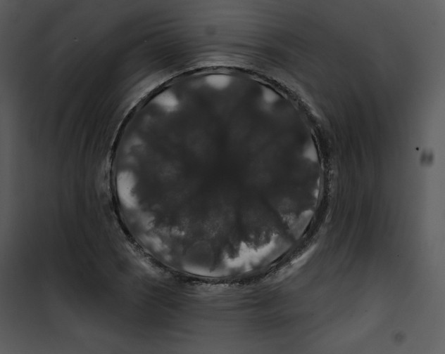 X0000100891121200807220945