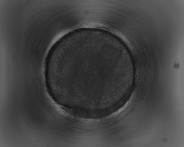 X0000100891122200807220945