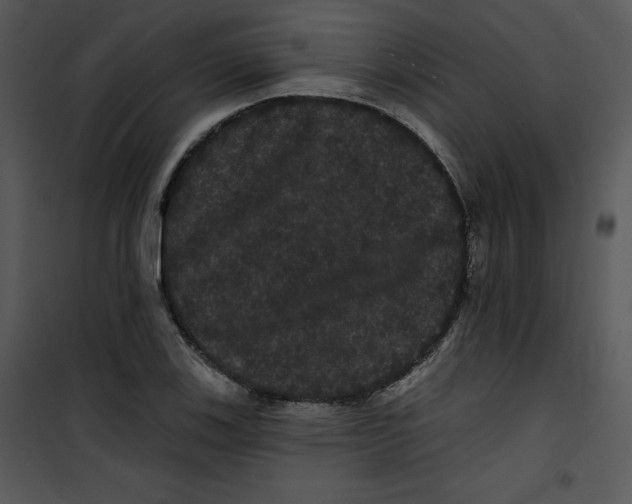 X0000100891123200807220945