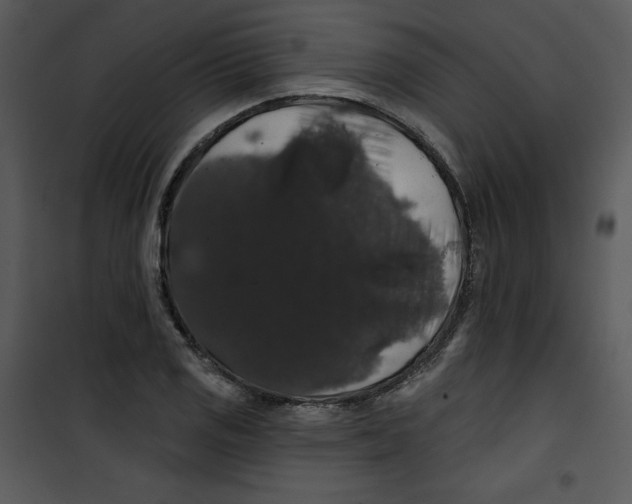 X0000100891125200807220945