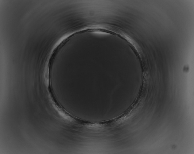 X0000100891127200807220945