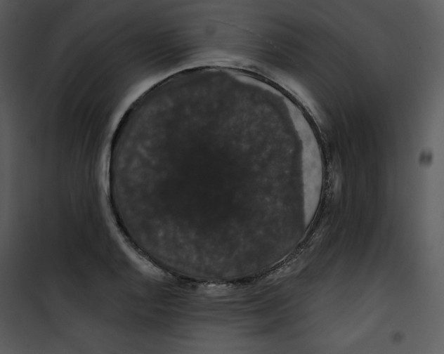 X0000100891128200807220945