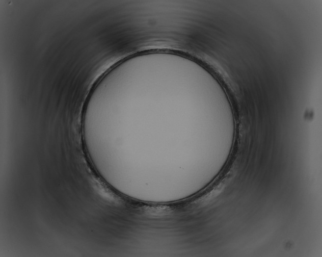 X0000100891129200807220945