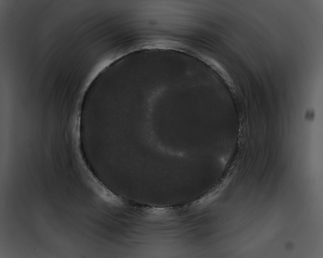 X0000100891130200807220945