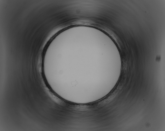 X0000100891131200807220945