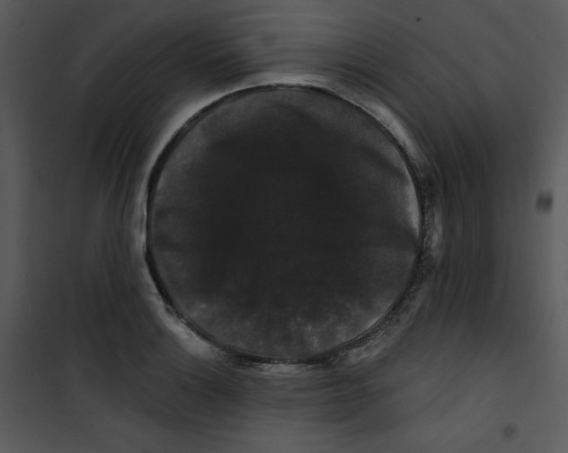 X0000100891132200807220945