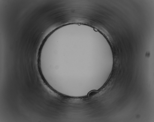 X0000100891135200807220945