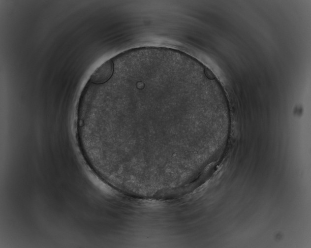 X0000100891136200807220945