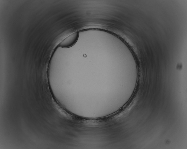 X0000100891137200807220945