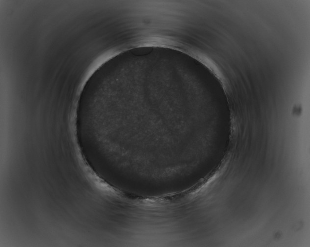 X0000100891138200807220945