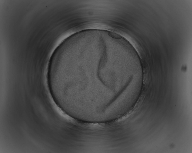 X0000100891139200807220945