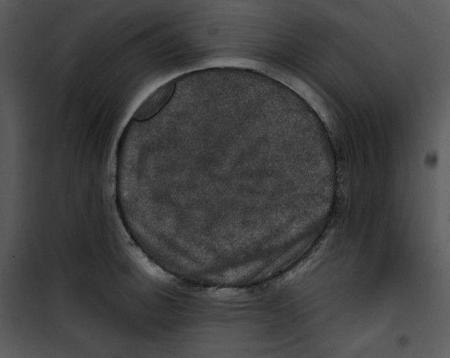 X0000100891140200807220945