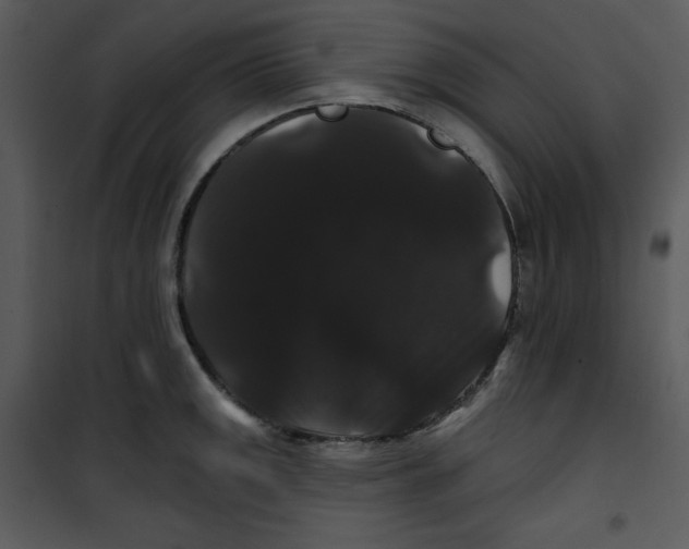 X0000100891141200807220945