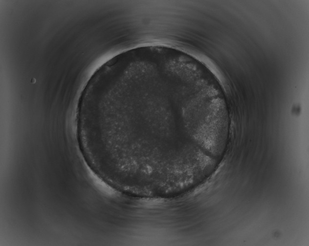 X0000100891143200807220945