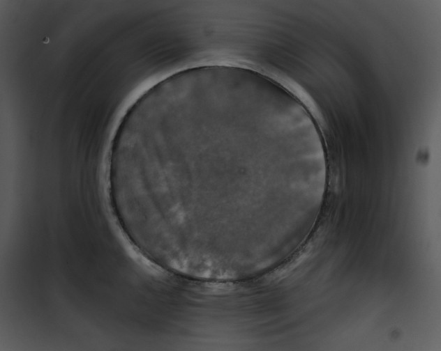 X0000100891144200807220945