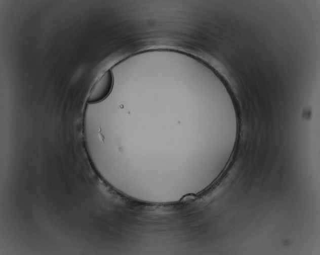 X0000100891145200807220945