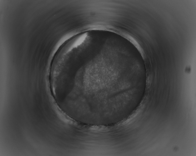 X0000100891146200807220945